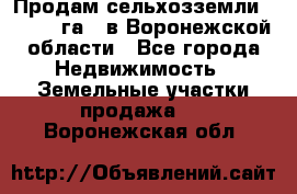 Продам сельхозземли ( 6 000 га ) в Воронежской области - Все города Недвижимость » Земельные участки продажа   . Воронежская обл.